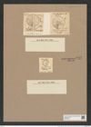 Stictodiscus insignis Grev. (de-Toni-Nr.: Genus 205, Species 5223) Zeichnungen Sammlung Grunow Nr. 9012 (NHMW-BOT-W0378721)